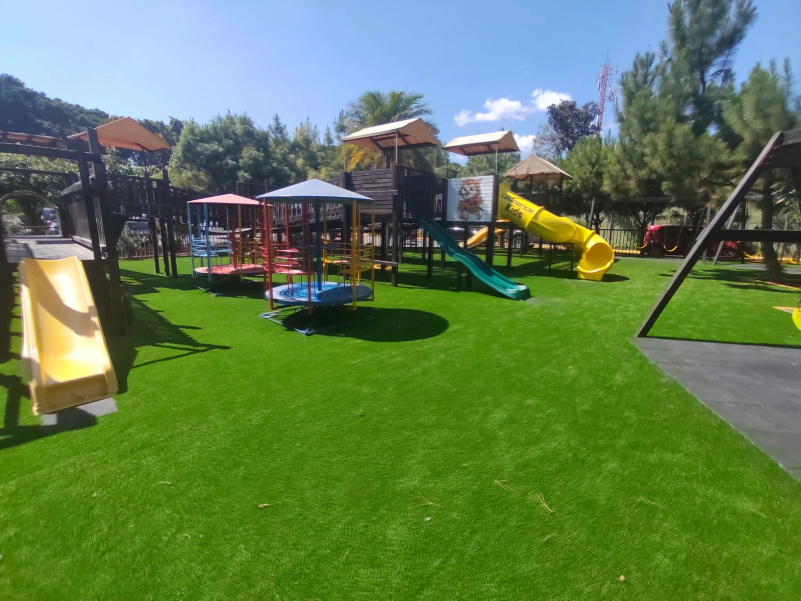 grama colegio americas